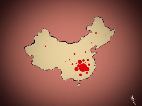 The Chinese district Wuhan is hit the hardest by the Coronavirus.