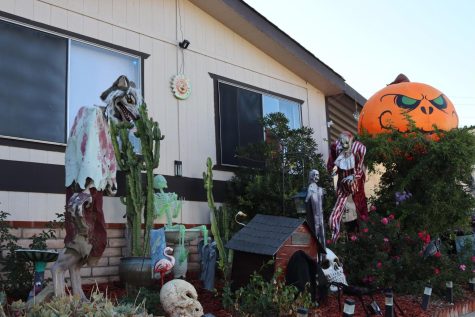 Decorating for Halloween is a fun tradition that many take part in every year!
