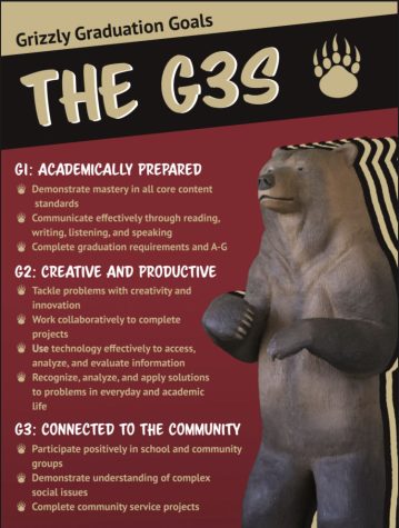 A poster describing each G3 goal