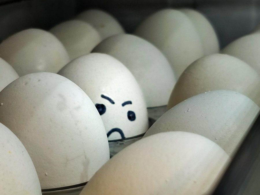 Consumers are unhappy about the rise of cost of eggs.