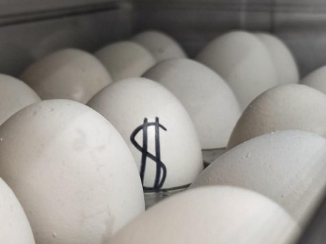 Rising price of eggs has been catching peoples attention.