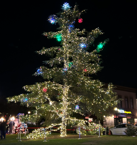 The beautiful tree lighting sparks attention from those watching and create a wonderful experience overall.