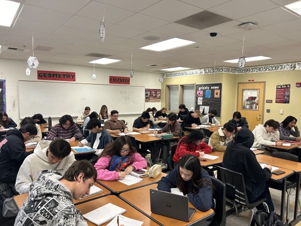 Calculus students in Mrs. Brewsters class working hard on completing their assignments.
