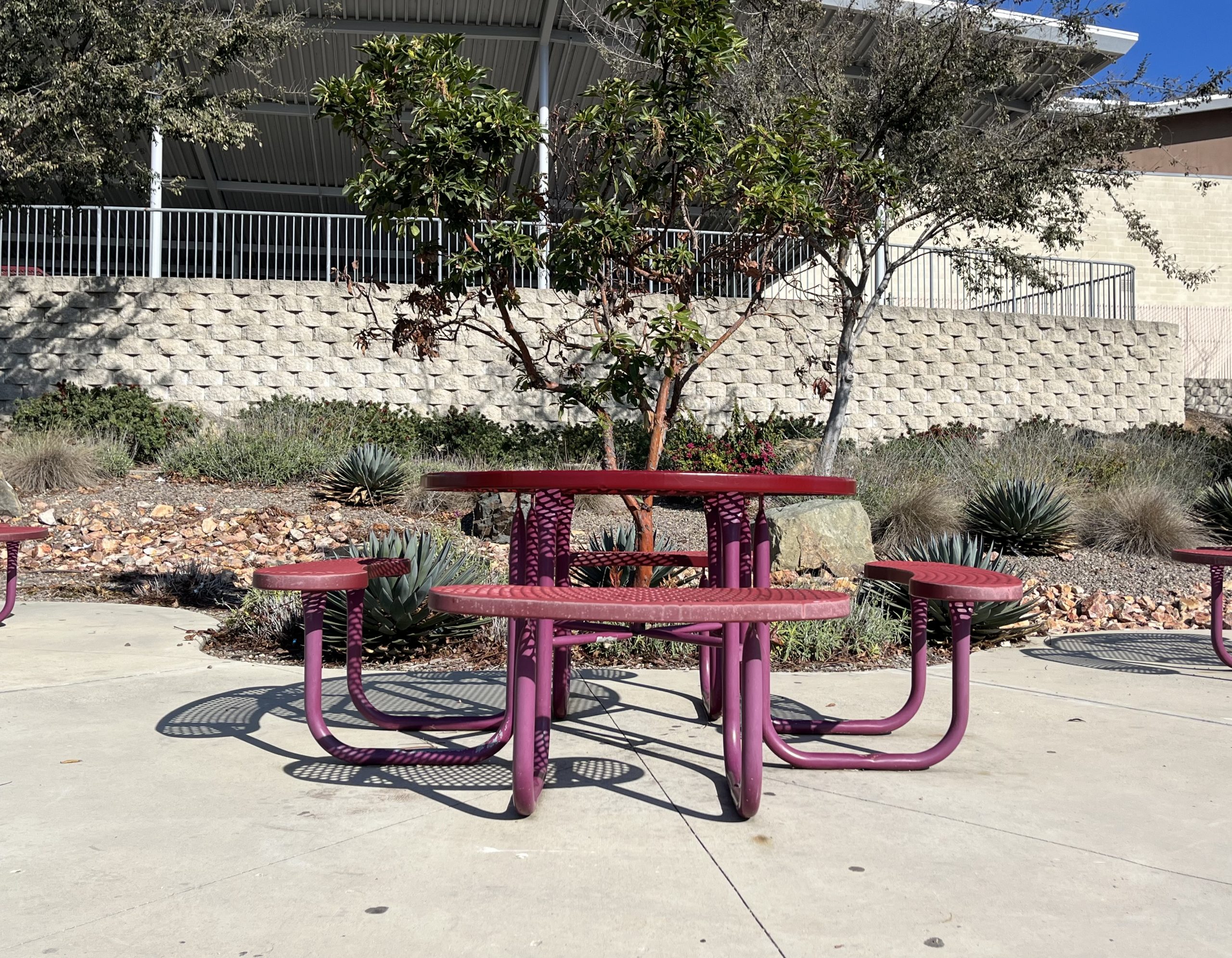 The MHHS tables, after just 30 minutes of lunch time.