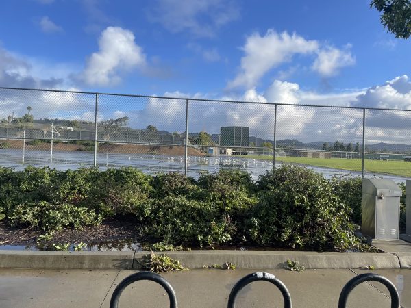 The birds use the Mission Hills basketball courts as their toilet, and theyve been terrorizing the campus for the past few weeks. Every time Im walking outside I make sure to be aware of the birds, Natalie Guerrero said.