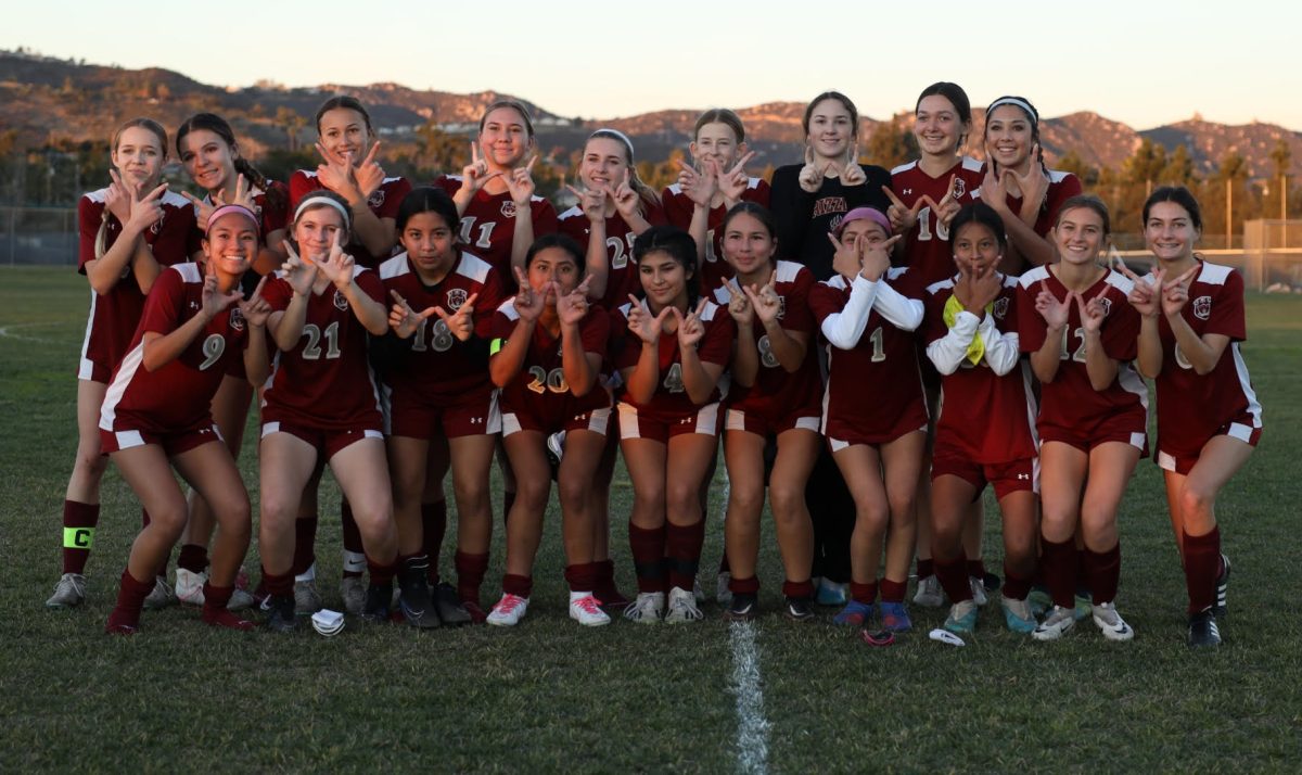 The+MHHS+Freshman+Girls+soccer+team+posed+together+after+one+of+their+many+wins.+The+captains+of+this+successful+group+are+Joselyn+Torres%2C+Lynsey+Phillips%2C+Leah+Folloso+and+Briana+Trujillo.