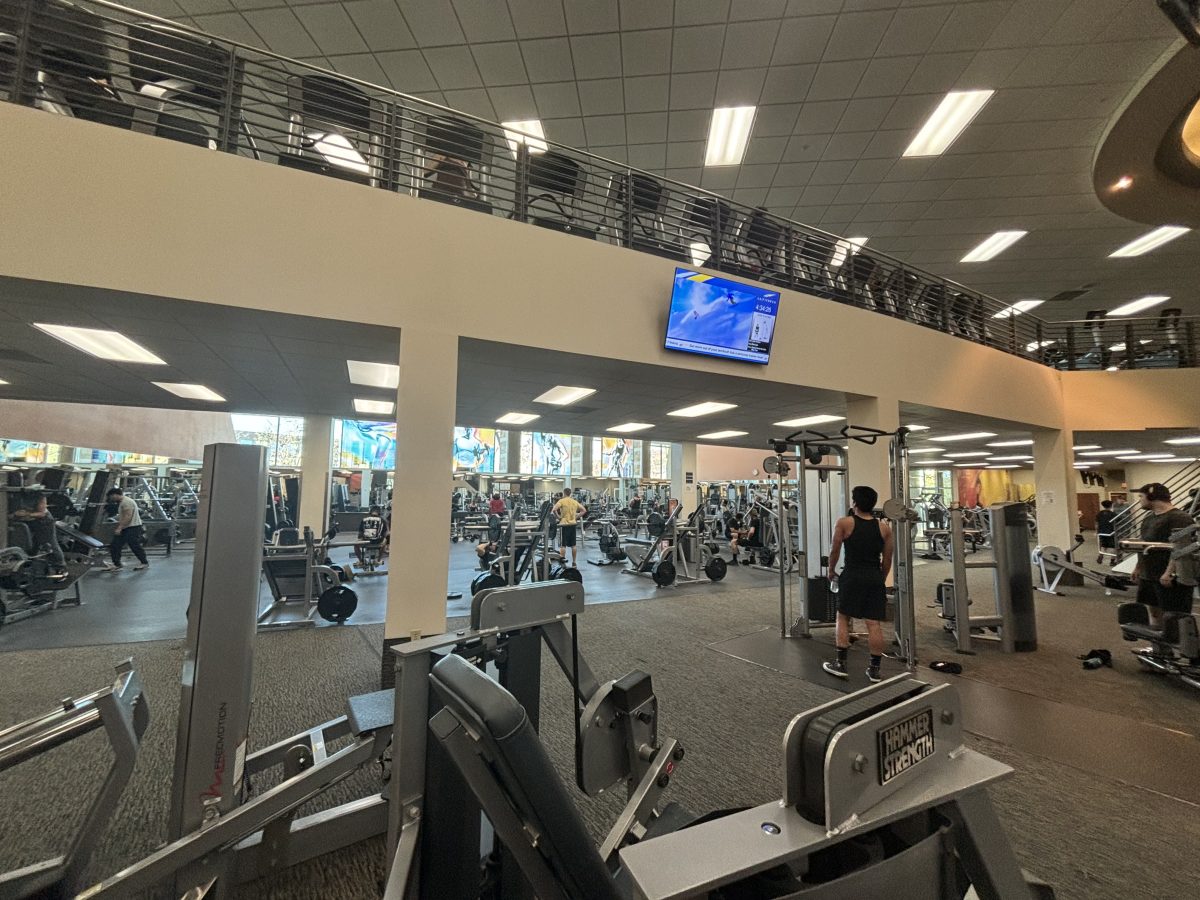A busy LA fitness is full after school hours, where many students go to workout. I love to go with my friends, because the workout is more productive, said freshman Andrei Hilario.